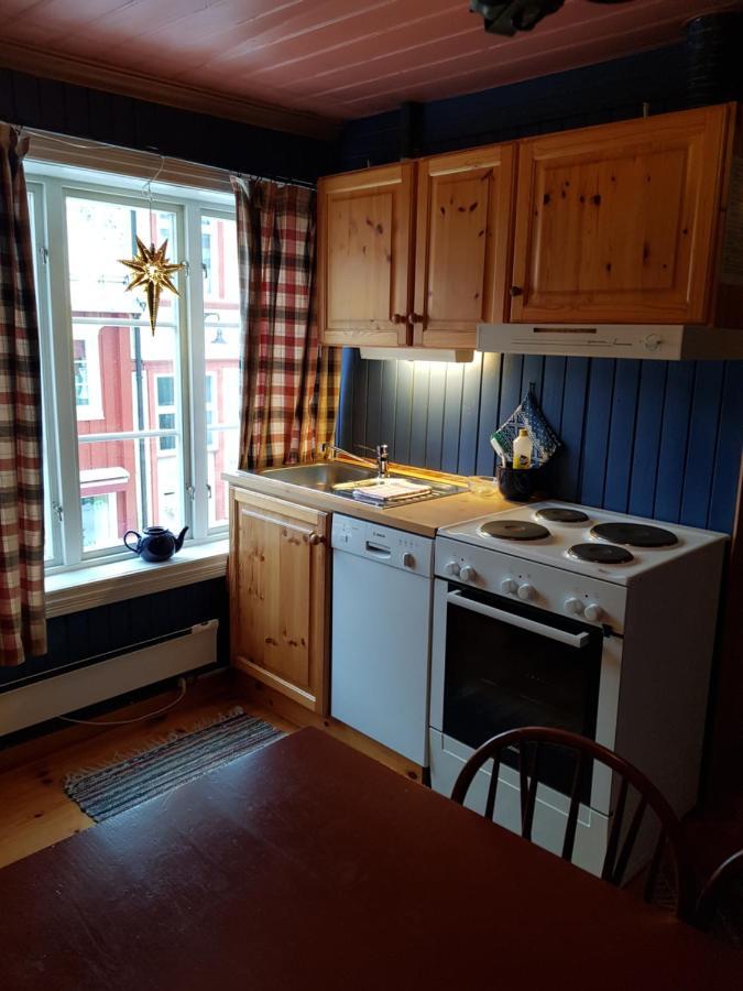 Ferienwohnung Houmbgaarden Røros Exterior foto